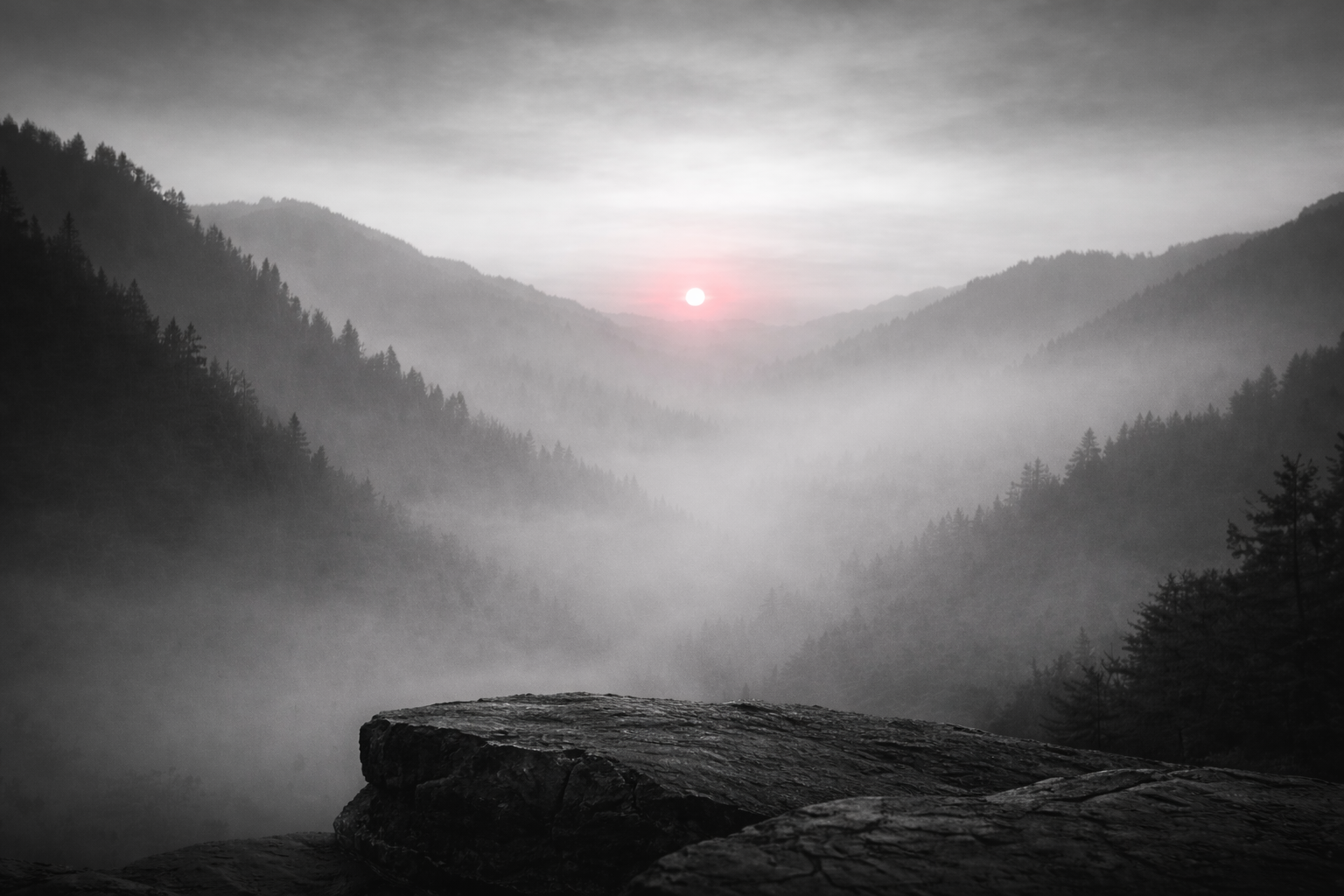 Atenția: prima formă de luciditate