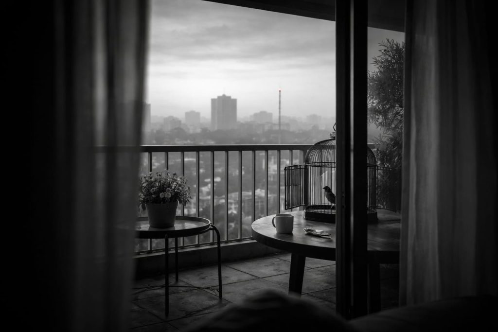 pasare in colivie cu usa deschisa, pe terasa, in fundal oras